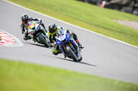 Oulton-Park-21st-March-2020;PJ-Motorsport-Photography-2020;anglesey;brands-hatch;cadwell-park;croft;donington-park;enduro-digital-images;event-digital-images;eventdigitalimages;mallory;no-limits;oulton-park;peter-wileman-photography;racing-digital-images;silverstone;snetterton;trackday-digital-images;trackday-photos;vmcc-banbury-run;welsh-2-day-enduro